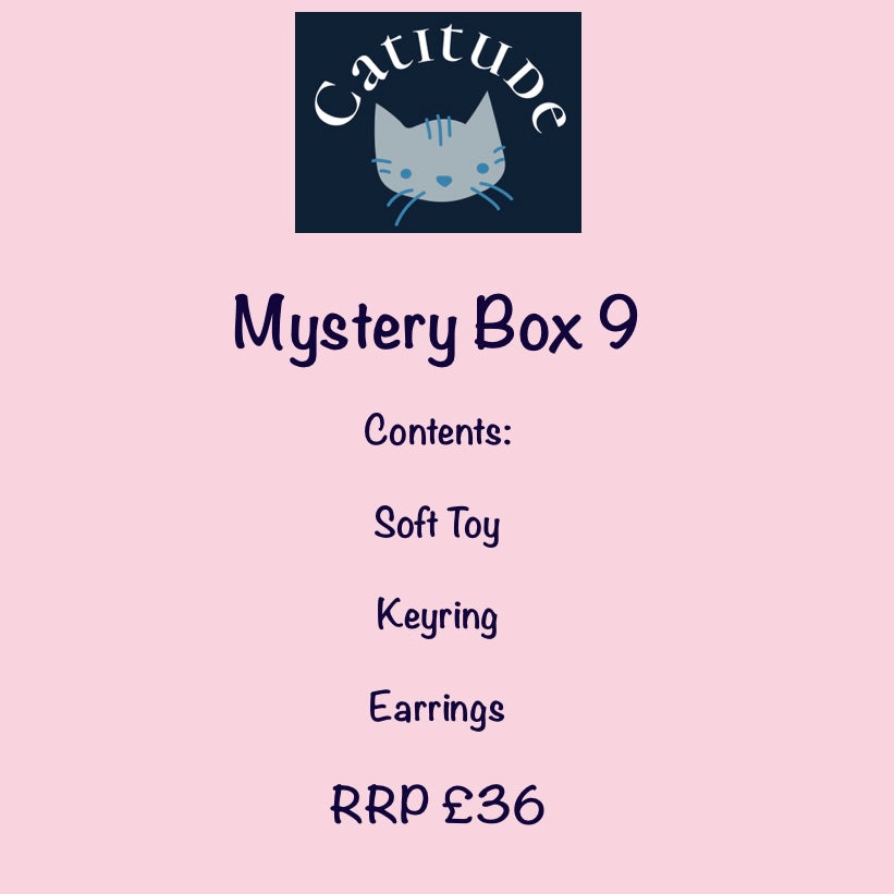 Bargain Mystery Boxes!