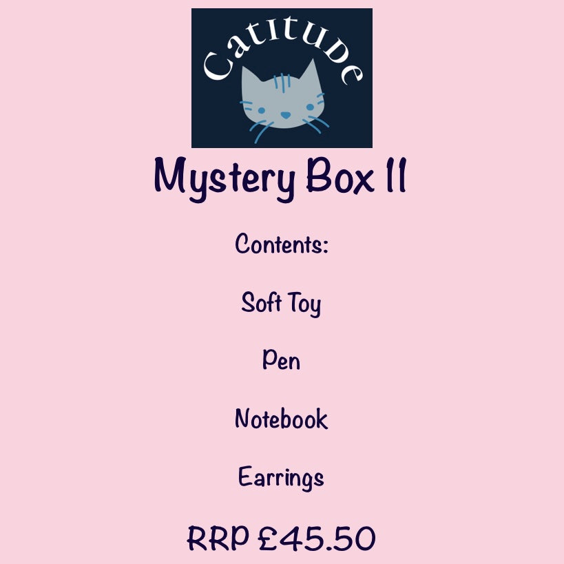 Bargain Mystery Boxes!