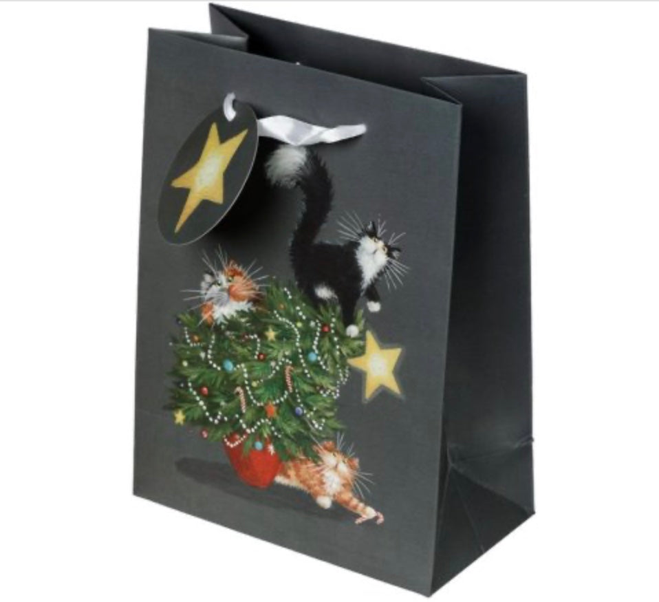 Catastrophe Gift Bag, Medium