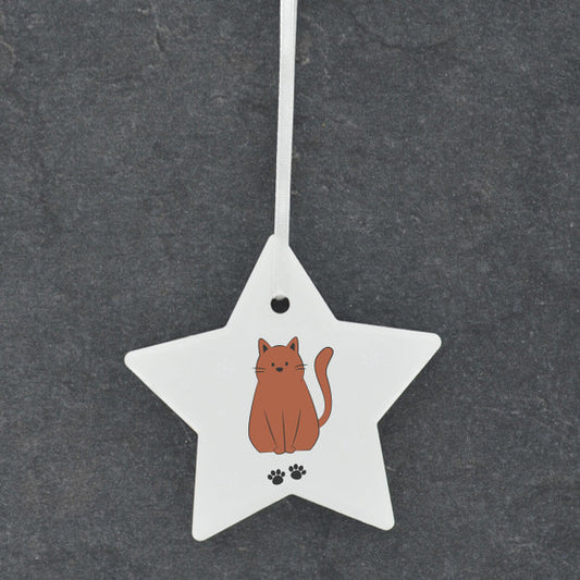 Vivid Squid Star Shaped Cat Bauble